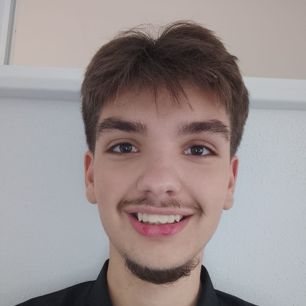 Allianz Versicherung Birkel und Biber OHG Pleinfeld - Romeo Sprenger