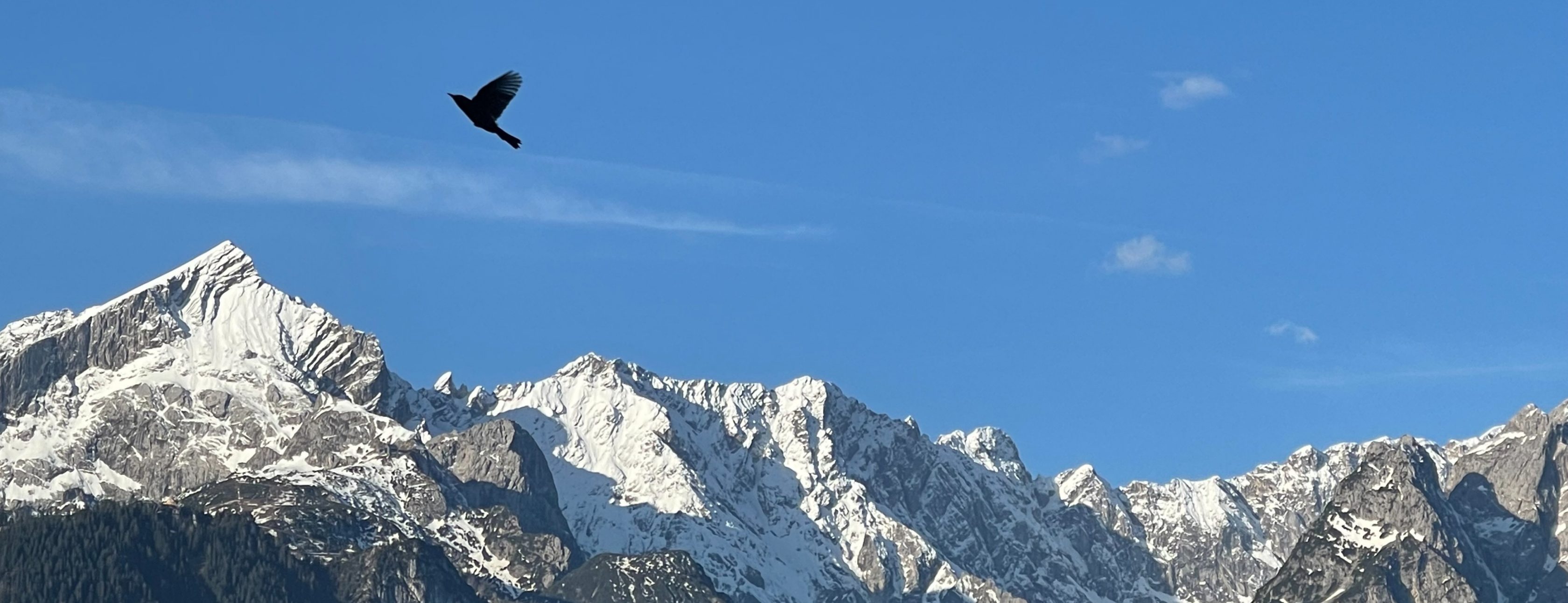 Allianz Versicherung Wolfram Blank e.K. Garmisch-Partenkirchen - Titelbild