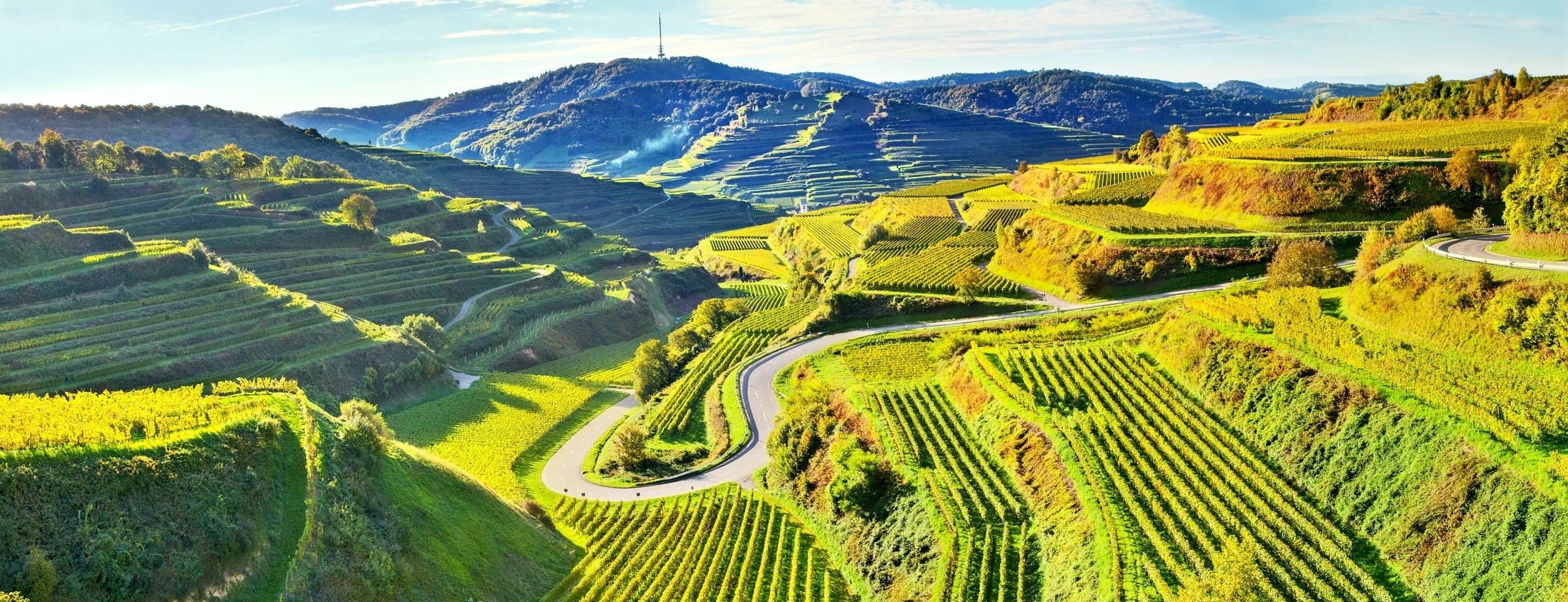 Allianz Versicherung Hanspeter Brunner Ihringen - Experten für Geldanlage und Altersvorsorge