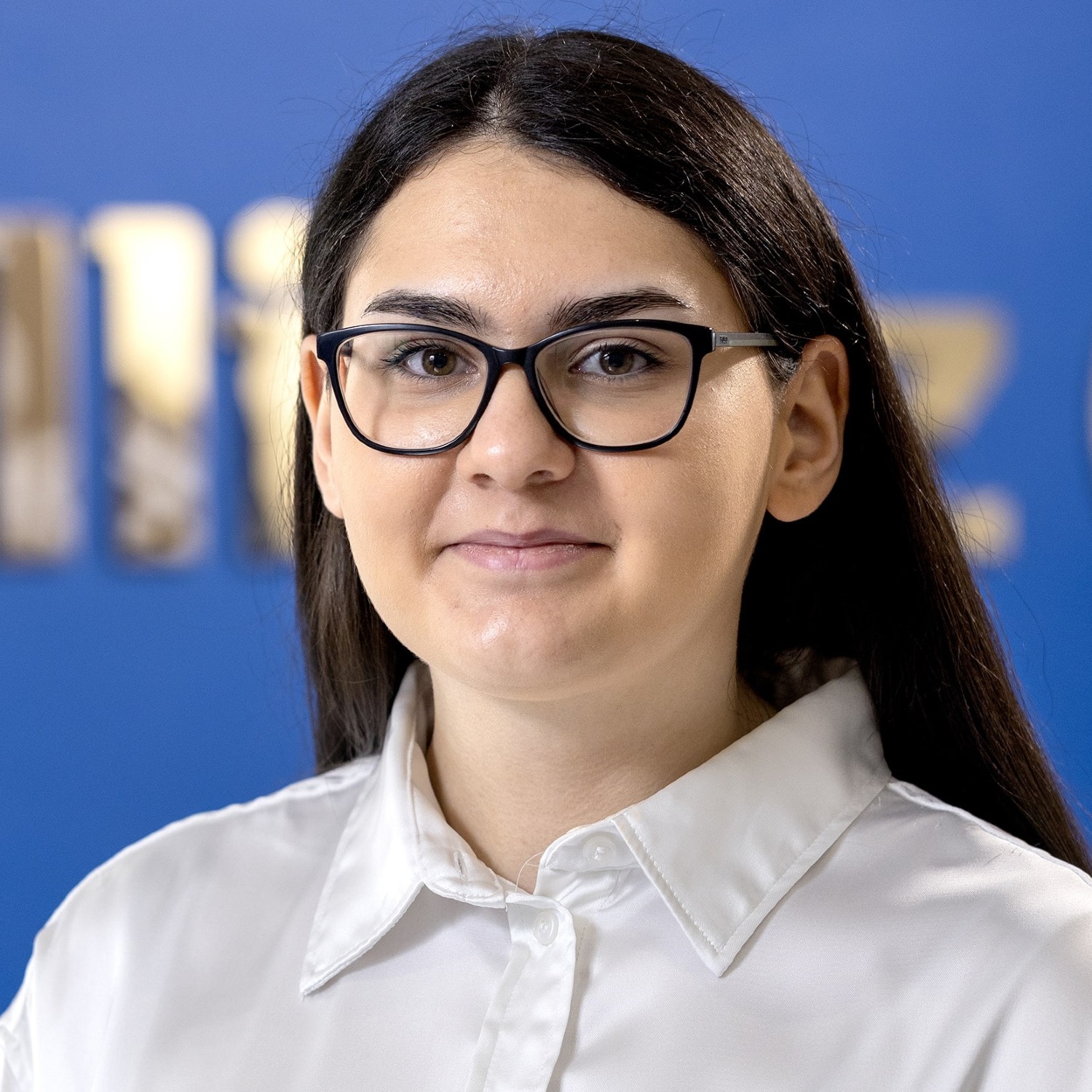Allianz Versicherung Wittemann und Uhlig OHG Schwetzingen - Aliza Lokaj