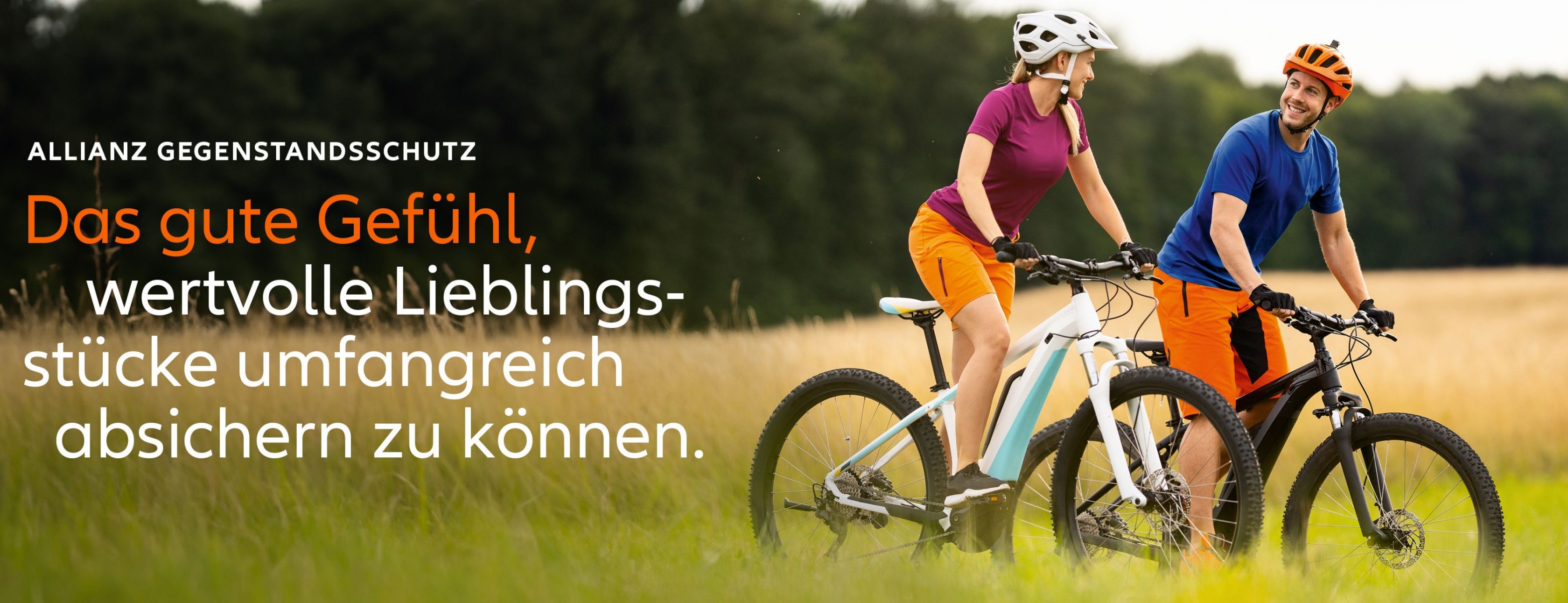Allianz Versicherung Carmen Ludwig Mindelstetten - Allianz Hauptvertretung Carmen Ludwig