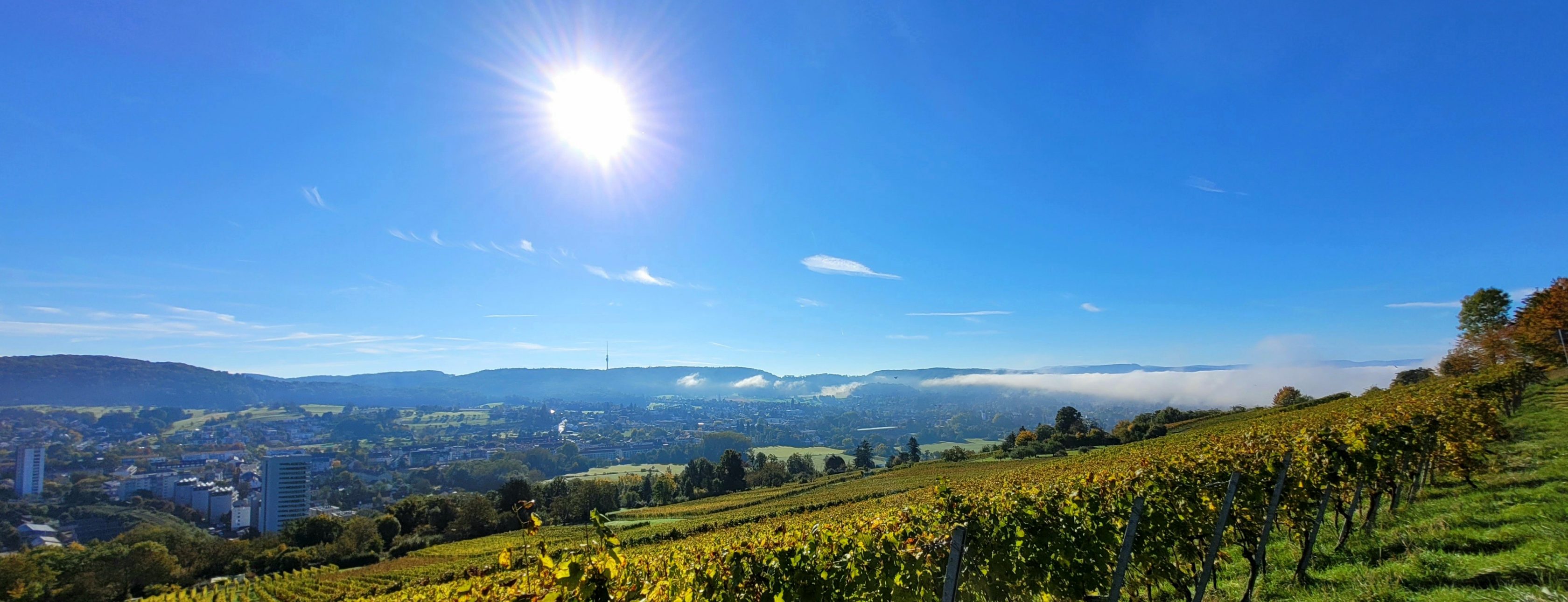 Allianz Versicherung Christian Voglgsang Lörrach - Allianz Voglgsang Lörrach Herbst