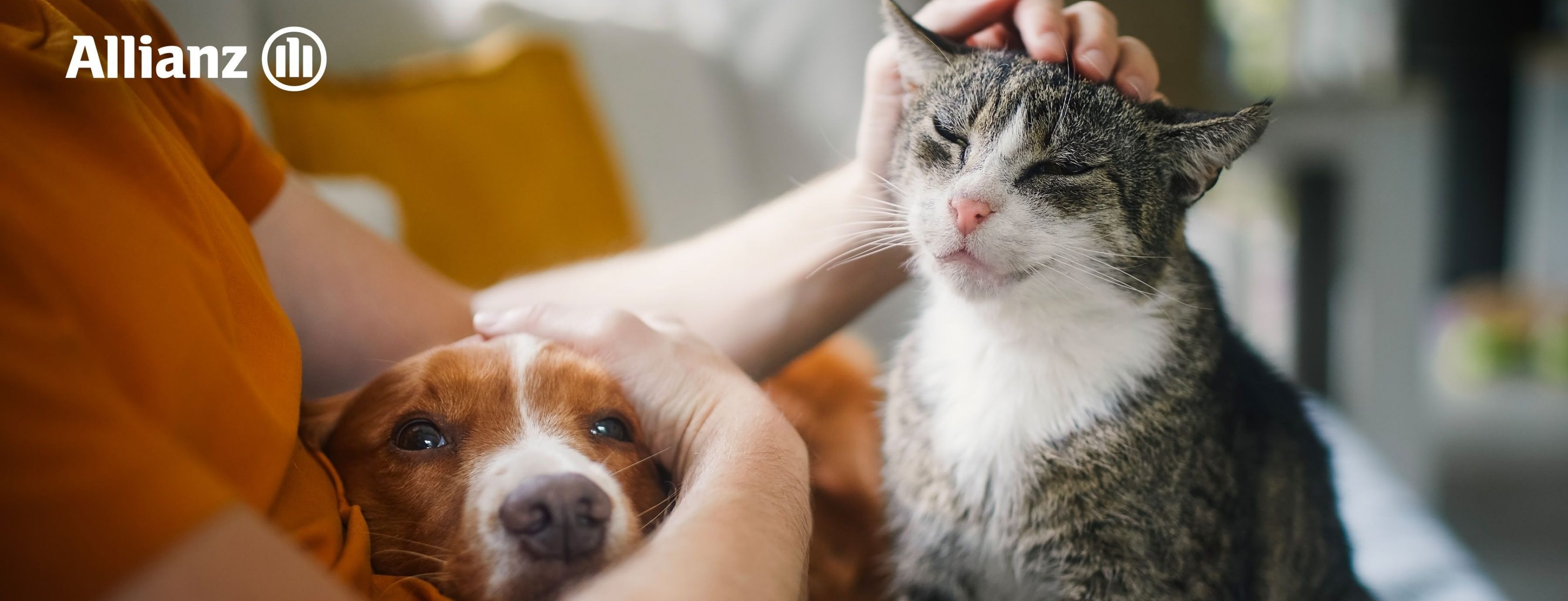 Allianz Versicherung Christopher Adam Halle Saale - Allianz Adam Halle Versicherung Vorsorge Unfall