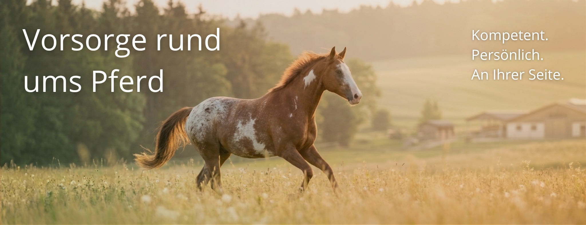 Allianz Versicherung Claudia Grahn Leer Ostfriesland - Ostfriesland