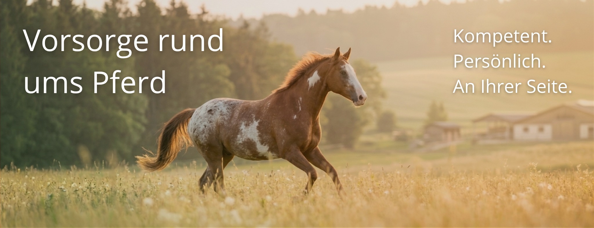 Allianz Versicherung Claudia Grahn Leer Ostfriesland - Ostfriesland