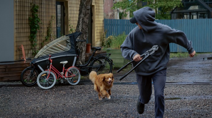 Allianz Versicherung Corinna Schäfers Meschede - Hausrat Diebstahl Fahrrad Hund