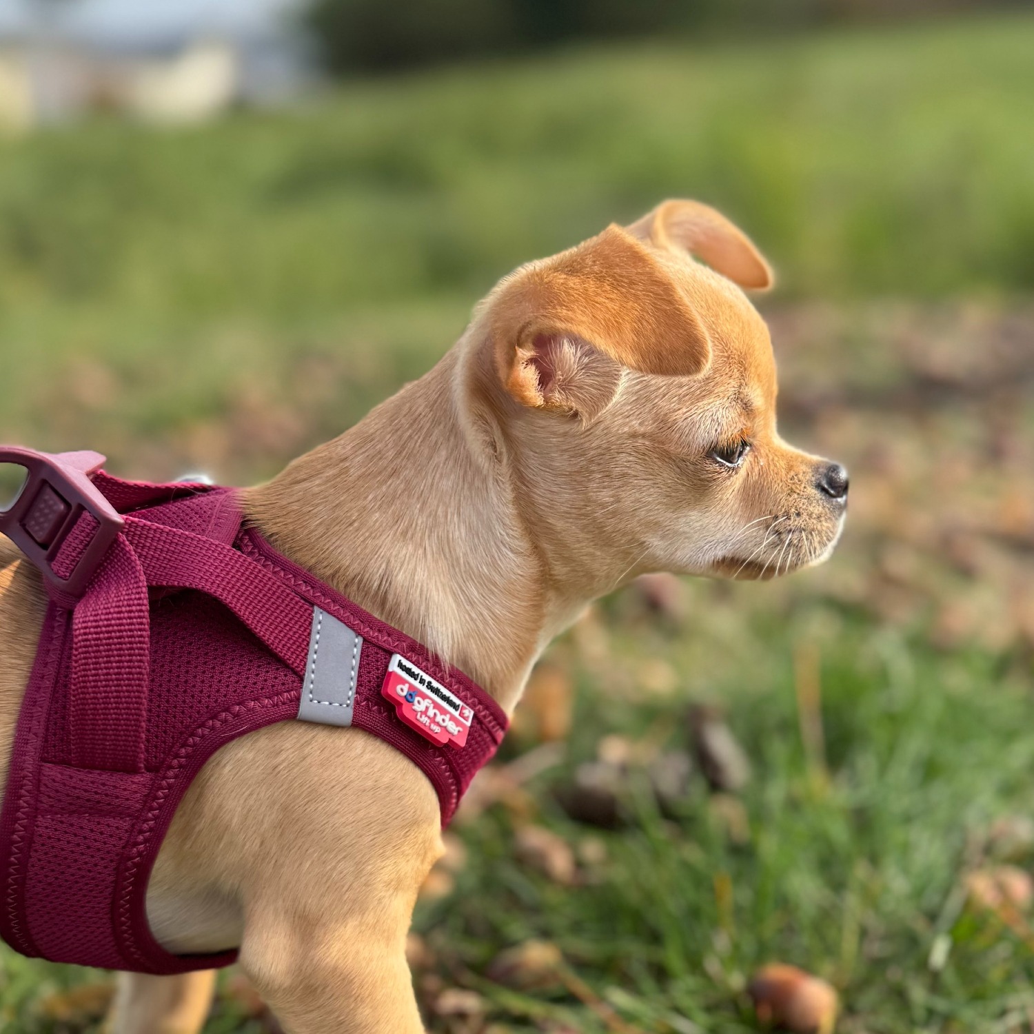 Allianz Versicherung David Ickert Hamburg - Emmy