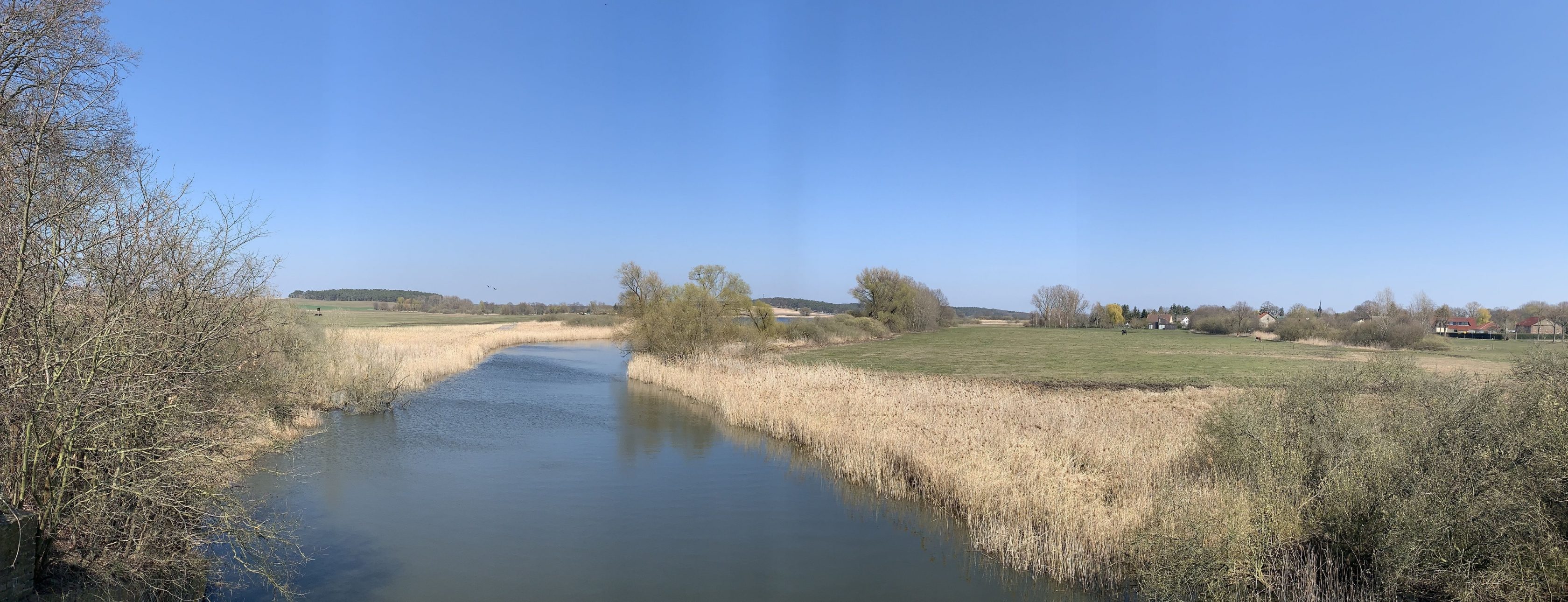 Allianz Versicherung David Müller e.K. Brandenburg a./Havel - Frühling in Brandenburg an der Havel und Havelland