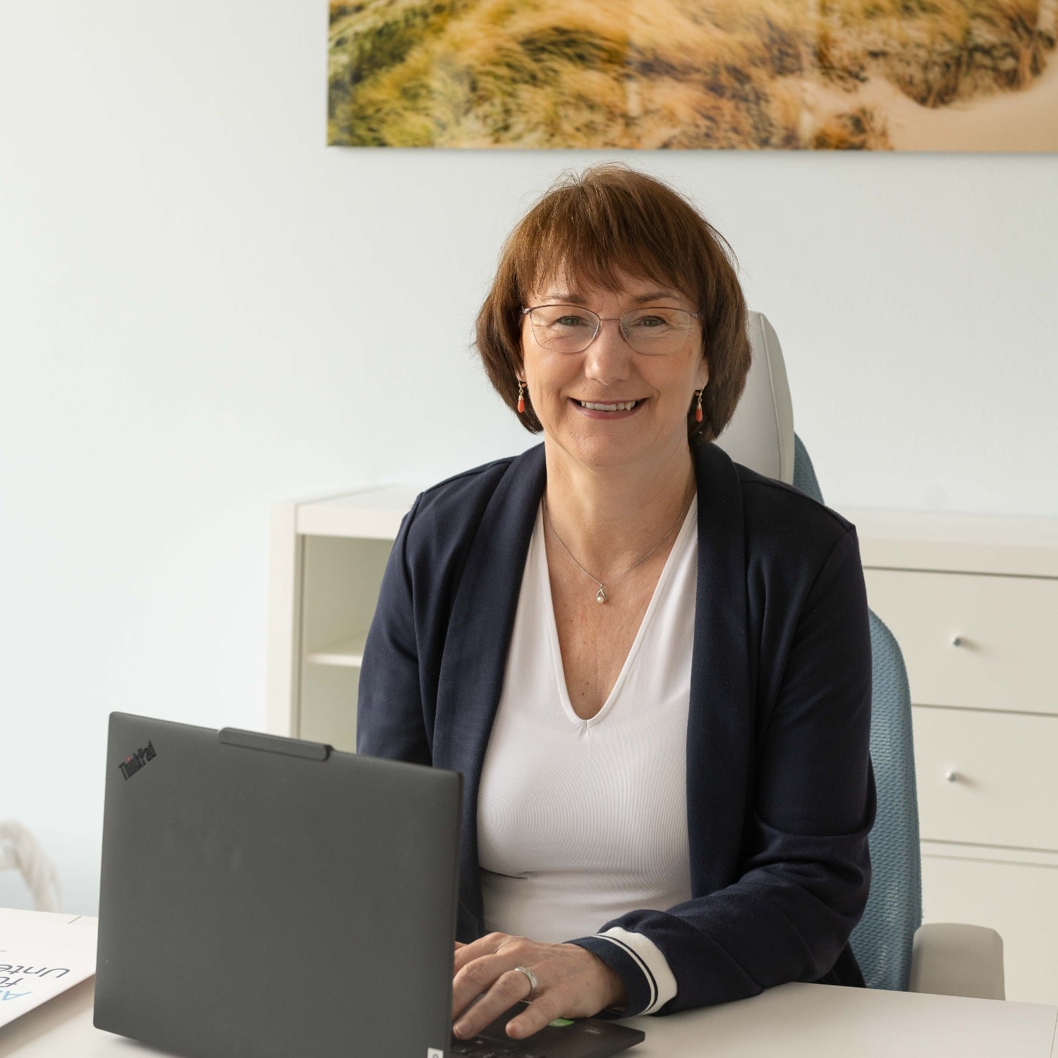 Allianz Versicherung Diana Steinert Schildau - Autoversicherung Schildau Langenreichenbach