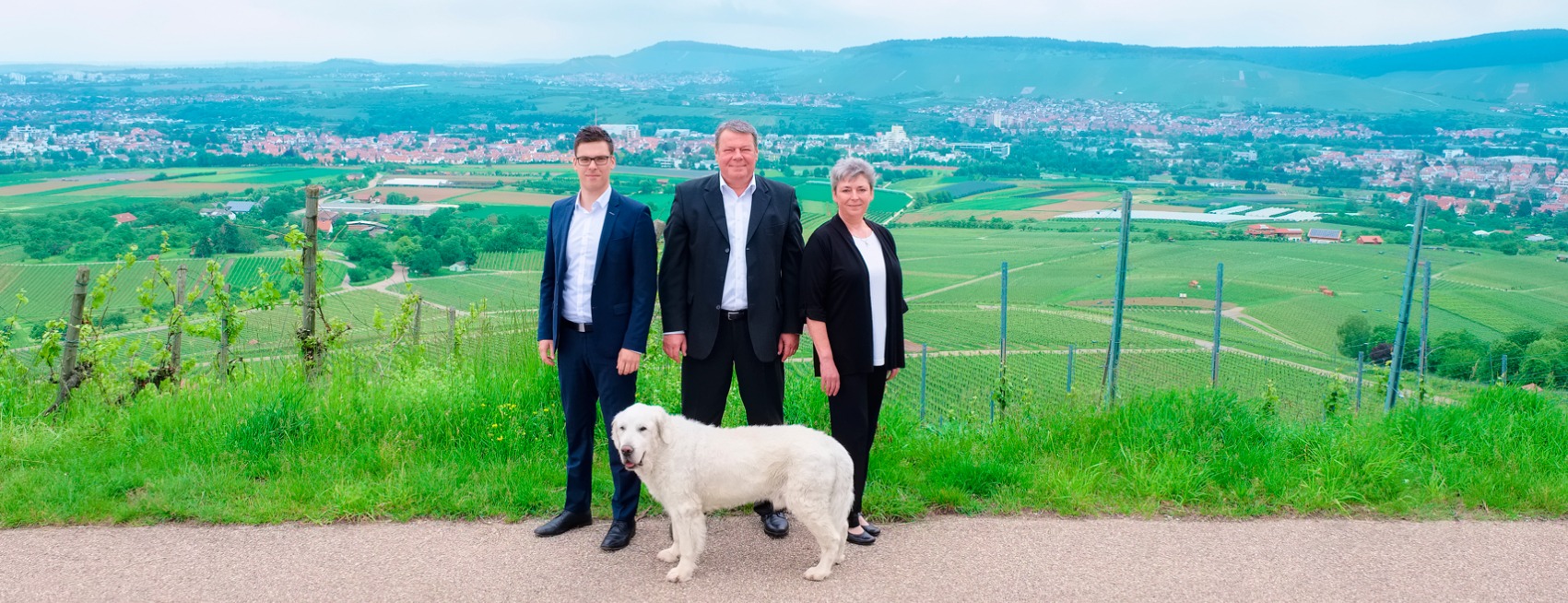Allianz Versicherung Dietmar Mangold Weinstadt - Weinstadt Versicherung Allianz Vorsorge Geldanlage