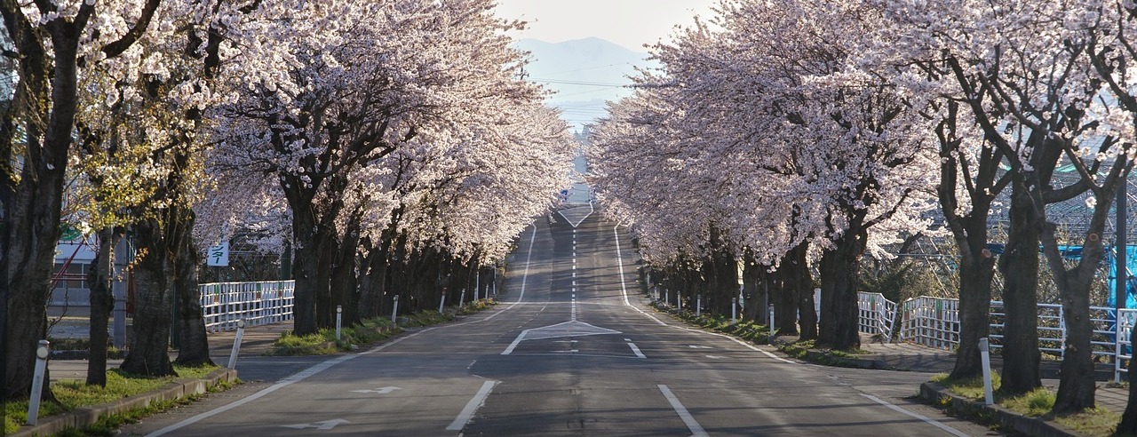 Allianz Versicherung Dirk Hujer Gebesee - Beratung persönlich, telefonisch und online 