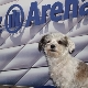 Allianz Versicherung Dirk Wagner Berlin - Milly 