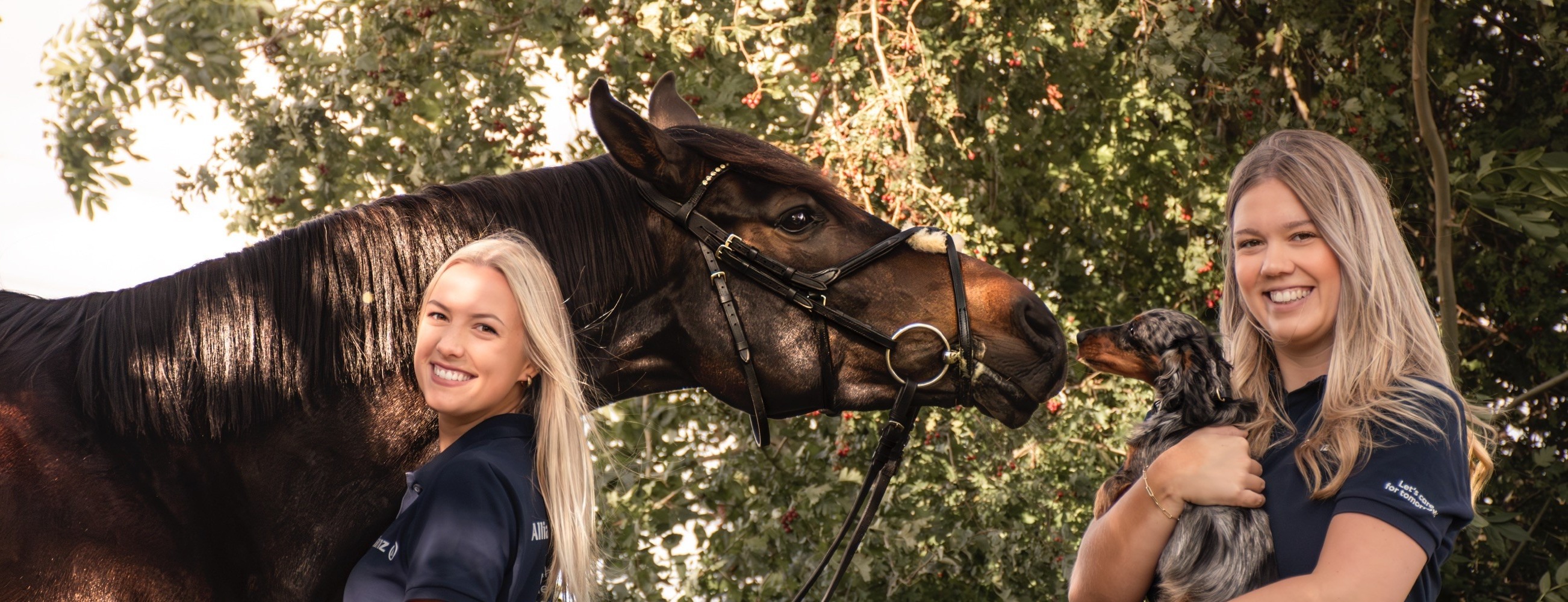 Allianz Versicherung Dullek und Ruwolt OHG Bad Doberan - Tierkrankenversicherung Dullek und Ruwolt OHG
