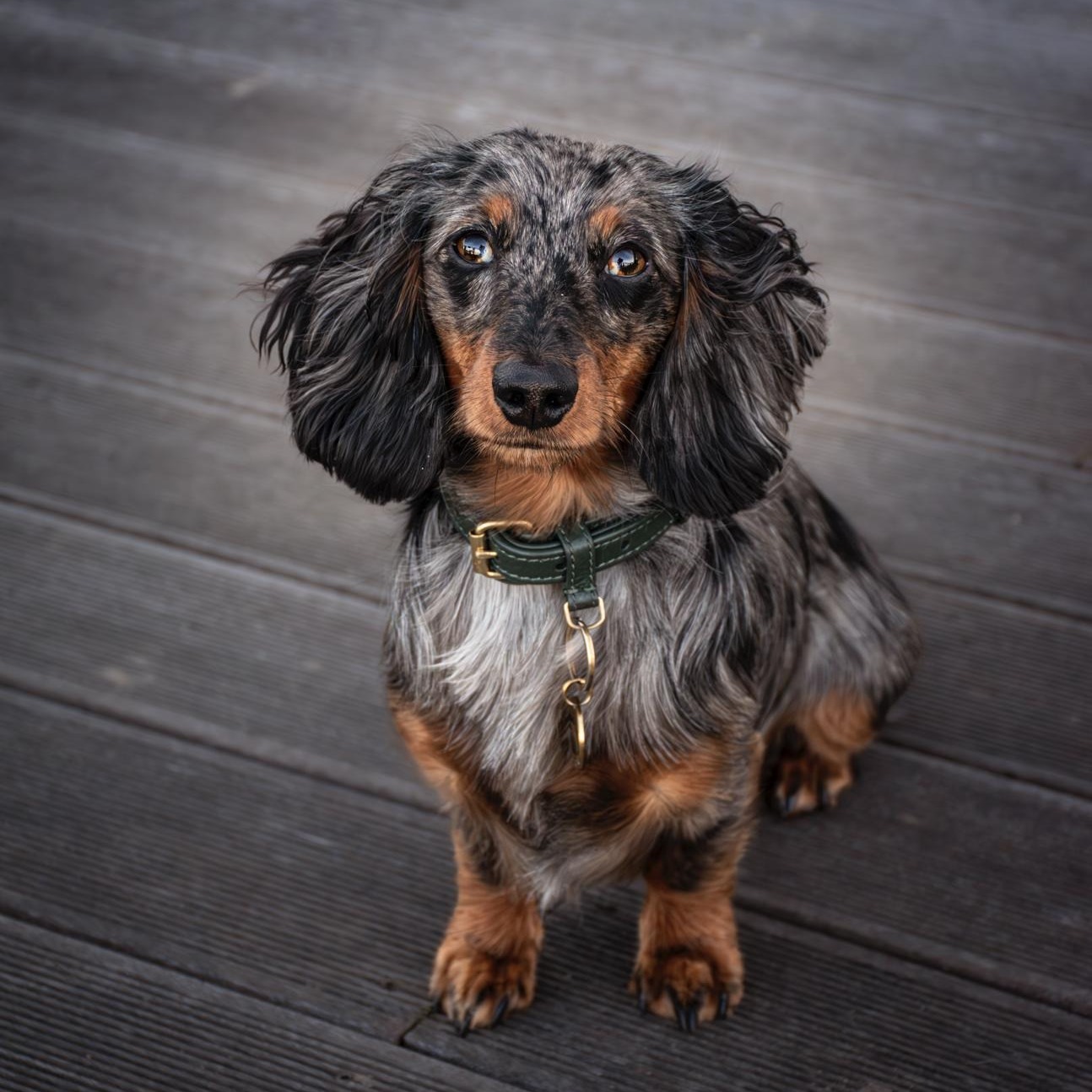 Allianz Versicherung Dullek und Ruwolt OHG Bad Doberan - PB Tommy