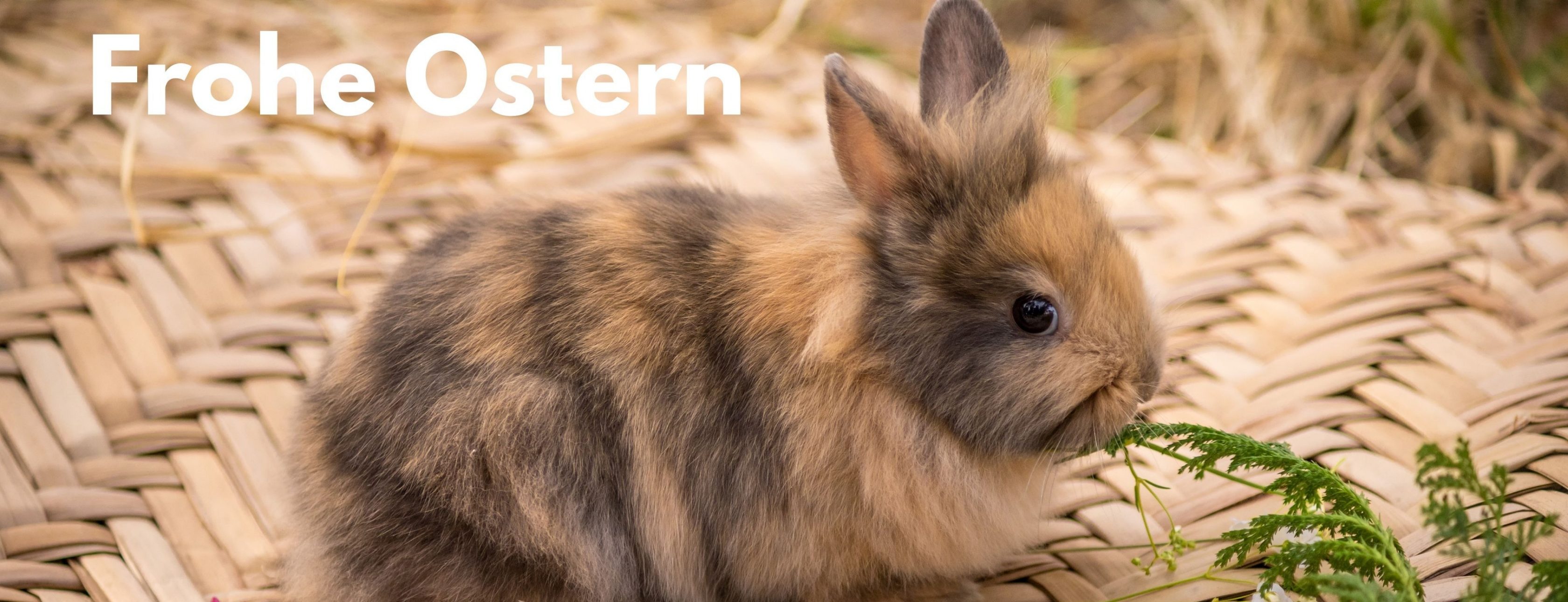 Allianz Versicherung Stefani Eichholz Herzogenaurach - Frohe Ostern!
