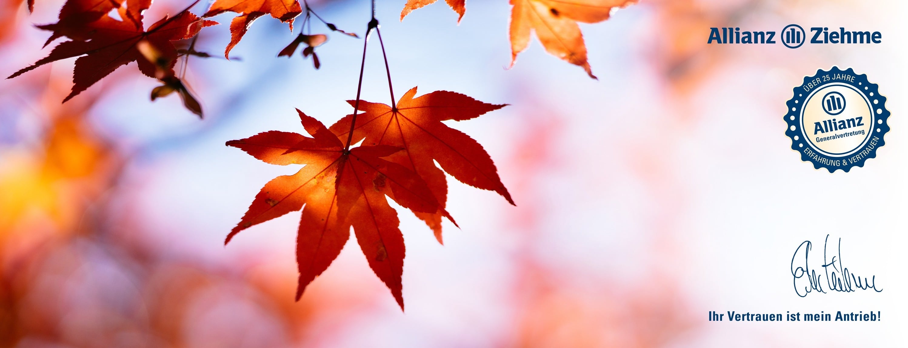 Allianz Versicherung Eike Ziehme Rheinfelden Baden - Herbst26