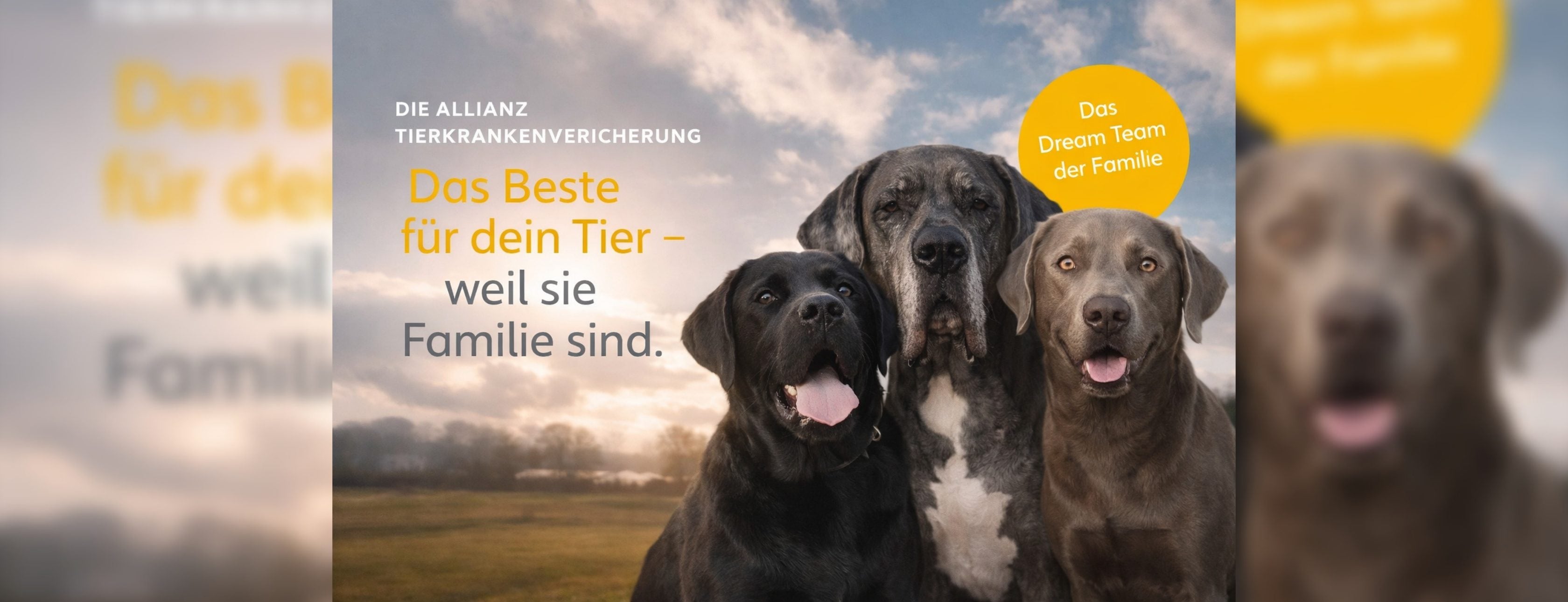 Allianz Versicherung Eilyn Geldner Weimar - TKV