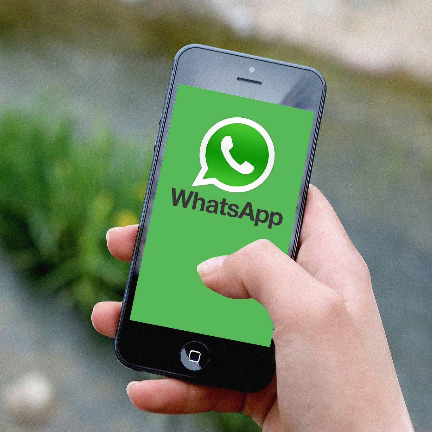 Allianz Versicherung Frank-Steffen Rein Schneeberg - Whatsapp allianz rein Schneeberg Schwarzenberg