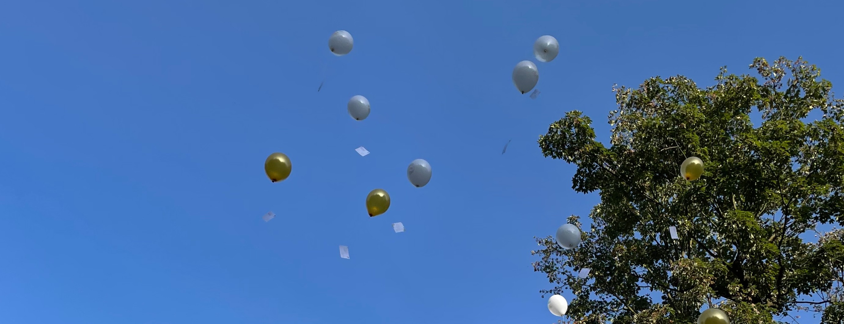 Allianz Versicherung Frank Kintopp Dresden - Ballon