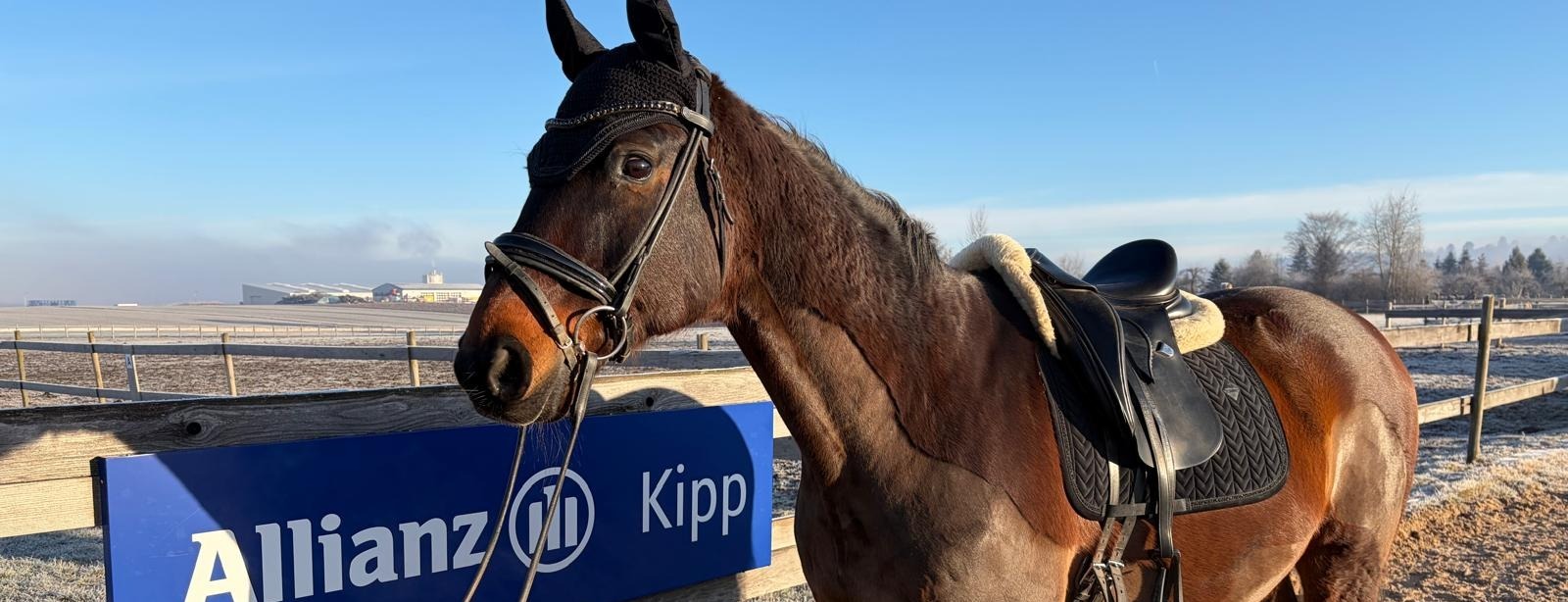 Allianz Versicherung Frank Kipp Sulz am Neckar - Titelbild