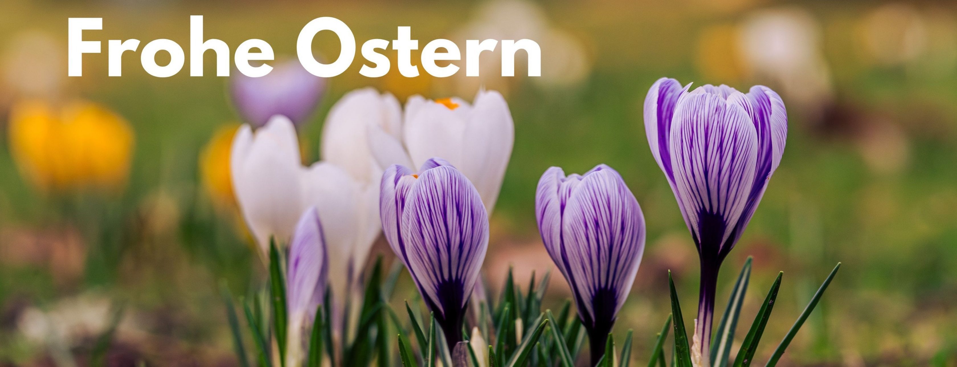 Allianz Versicherung Jens Friedrich Selb - #Haftpflicht, #Selb,#KFZ,#BU,