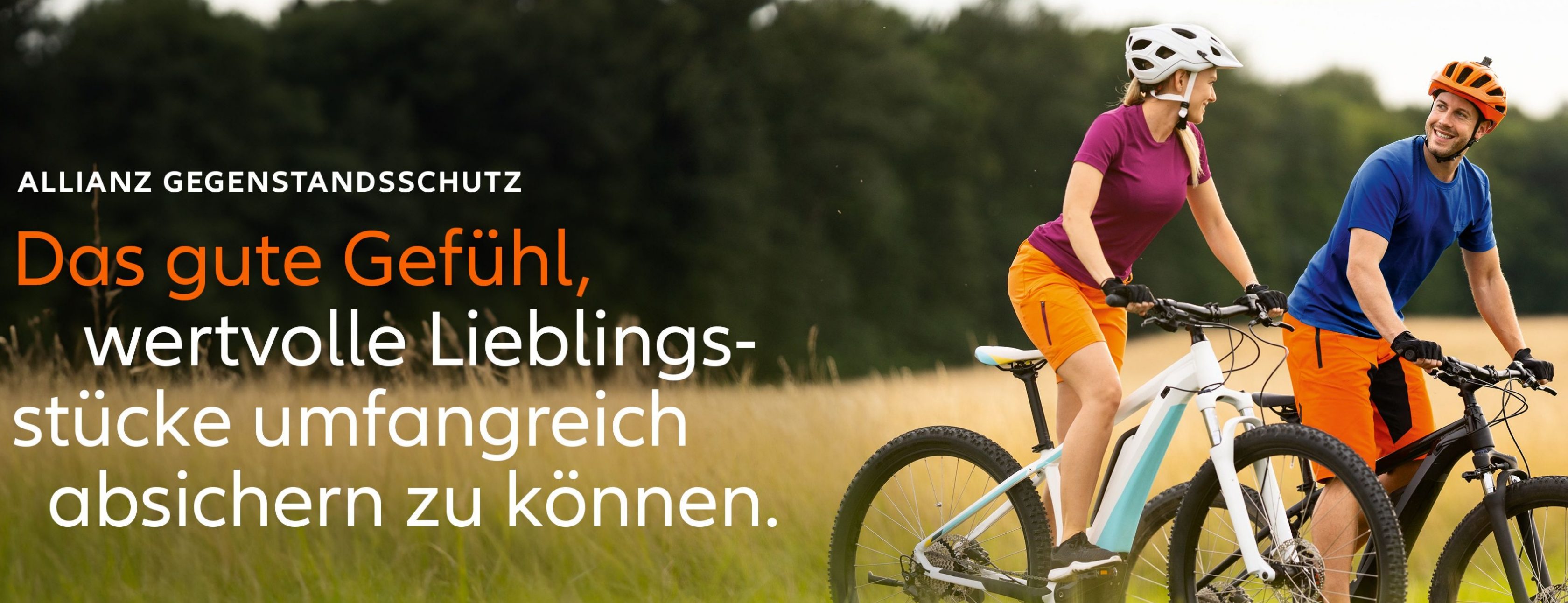 Allianz Versicherung Gerd Jerga Bonn - Risikolebensversicherung