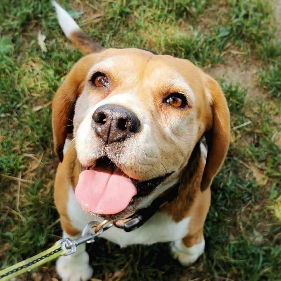 Allianz Versicherung Münüre Tastan München - Allianz Versicherung Münüre Tastan 