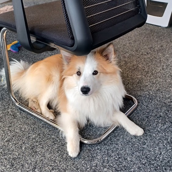 Allianz Versicherung Gerhard Schmid Haimhausen - Dadri