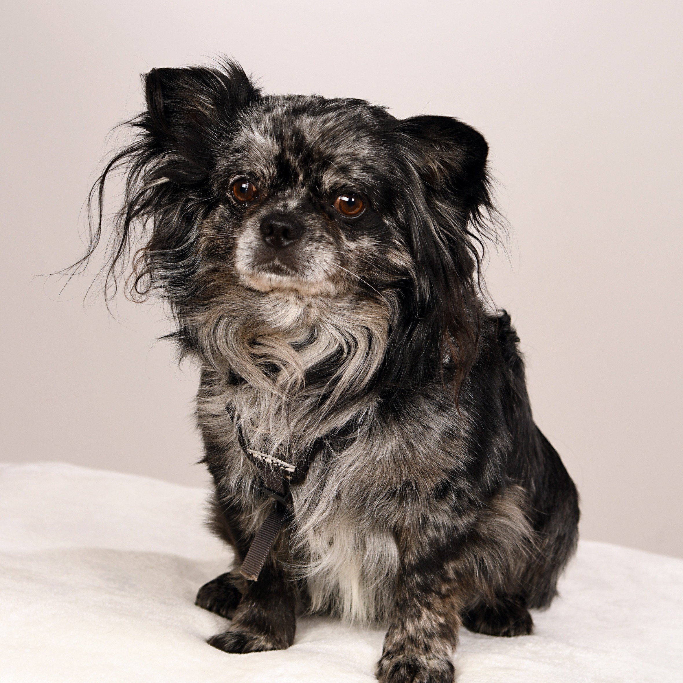 Allianz Versicherung Gersmann und Eisenblätter GbR Lünen - Leopold unsere Büro Seele