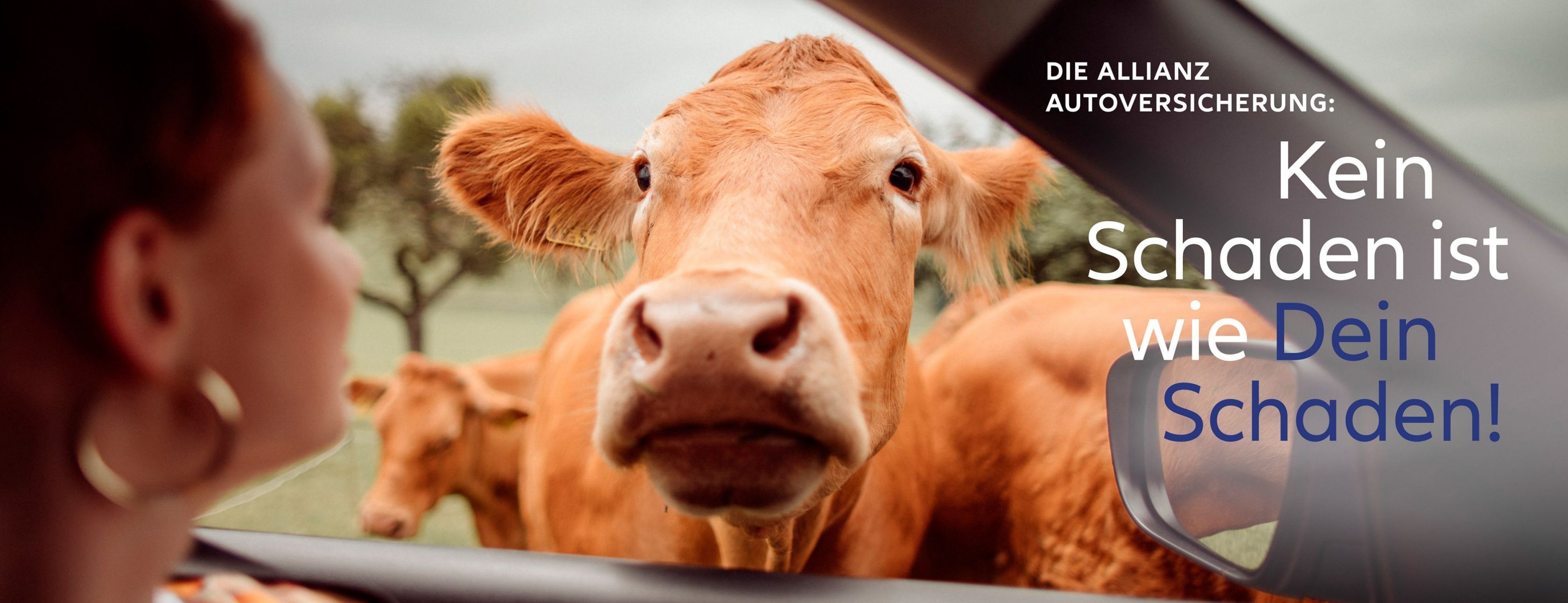 Allianz Versicherung Harald Grimm Burgheim - KFZ - Werkstattbonus - Ende 30.07.2022