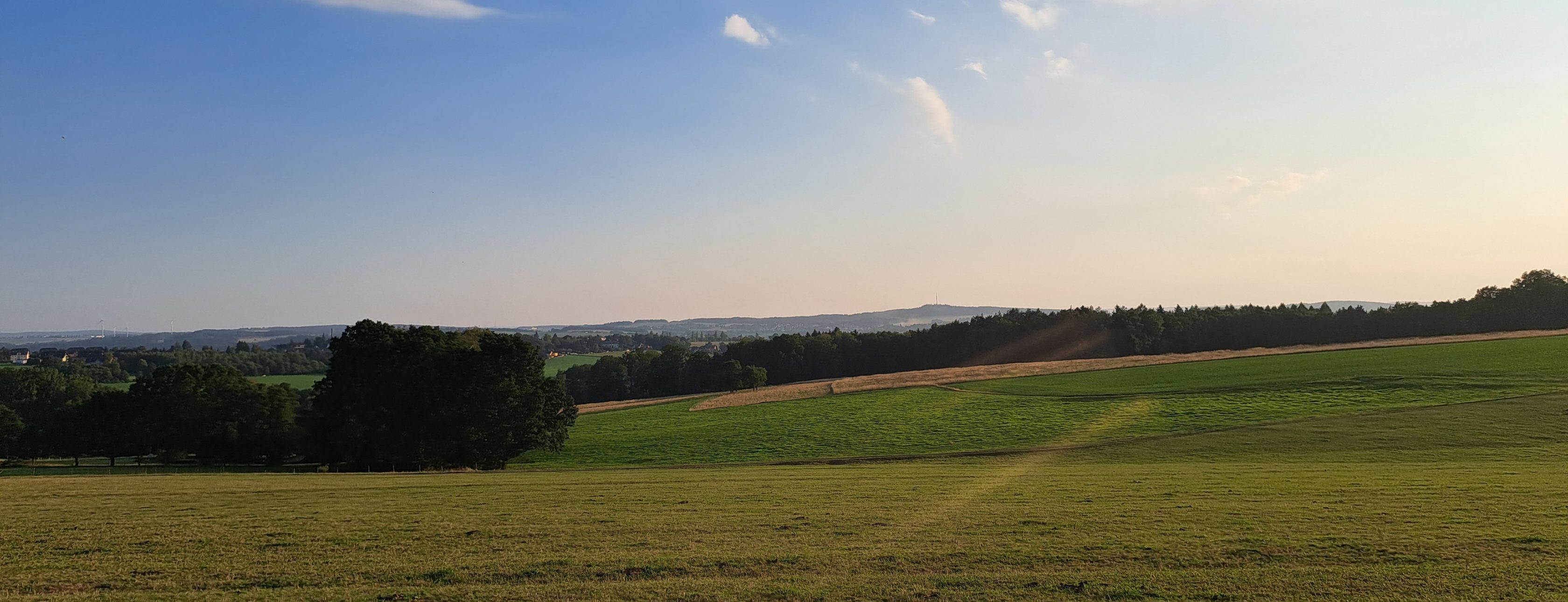 Allianz Versicherung Heiko Gerstner Werdau - Wir wünschen einen goldenen Herbst.