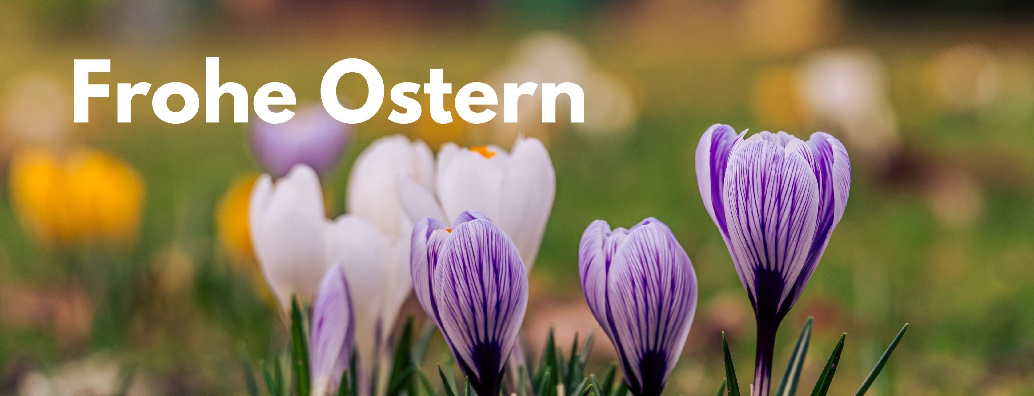 Allianz Versicherung Rainer Hofmann Schweinfurt - Rainer Hofmann Generalvertretung 