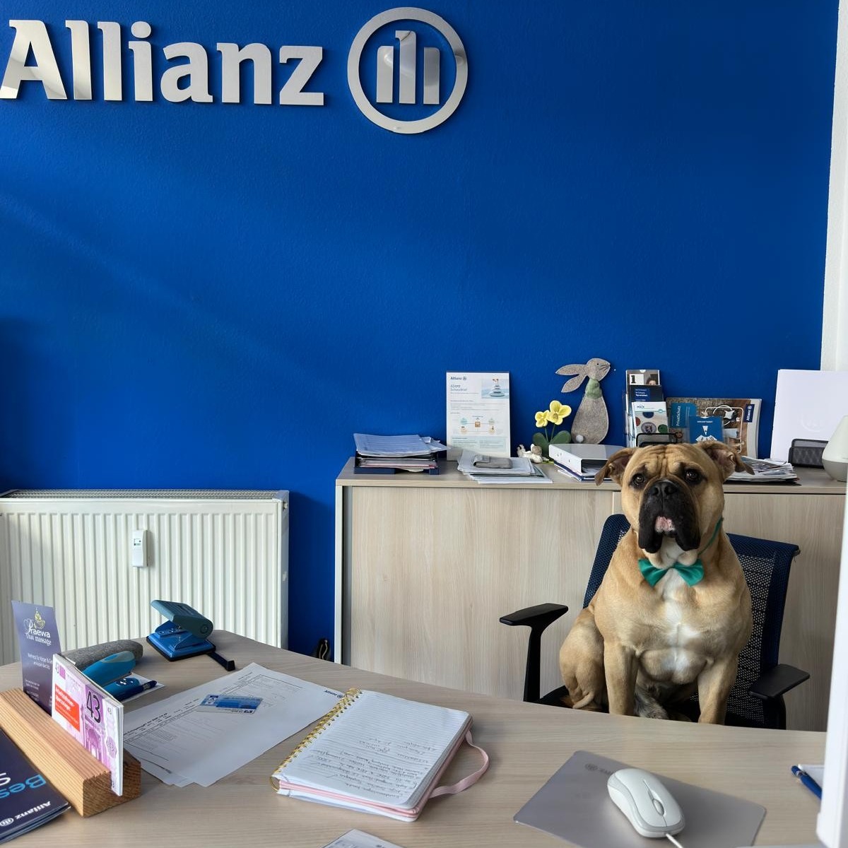 Allianz Versicherung Ilayda Avci Bad Orb - Agenturhund Mailo