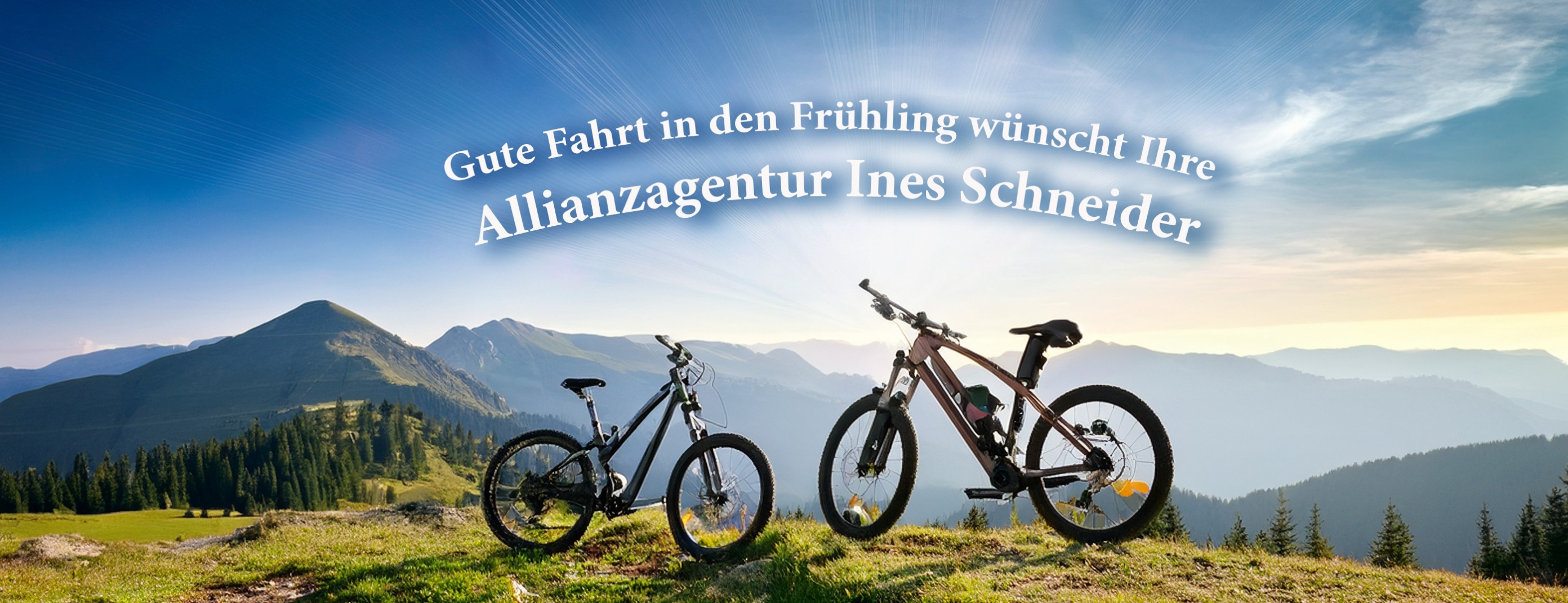 Allianz Versicherung Ines Schneider Freiberg - Allianz Versicherung Ines Schneider Freiberg