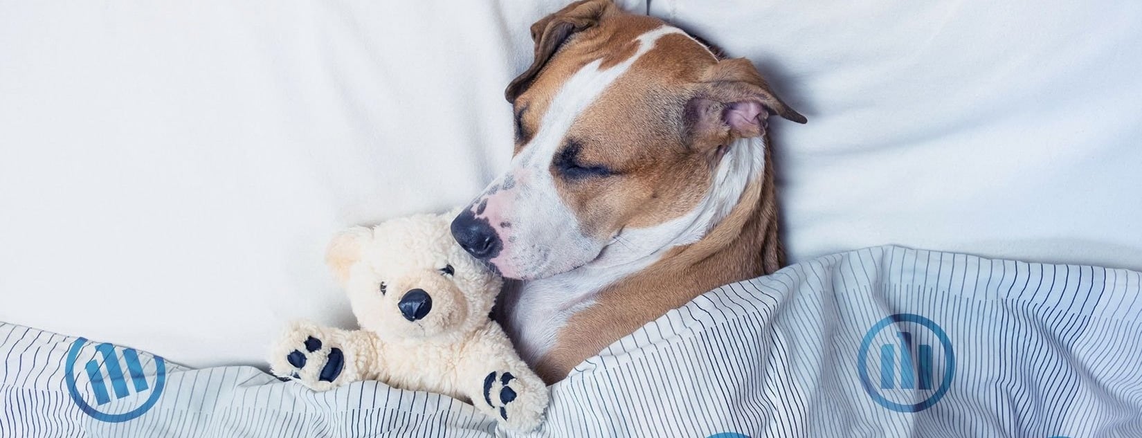 Allianz Versicherung Emel Bayram Radolfzell - Radolfzell Firmenversicherung Haftpflicht 