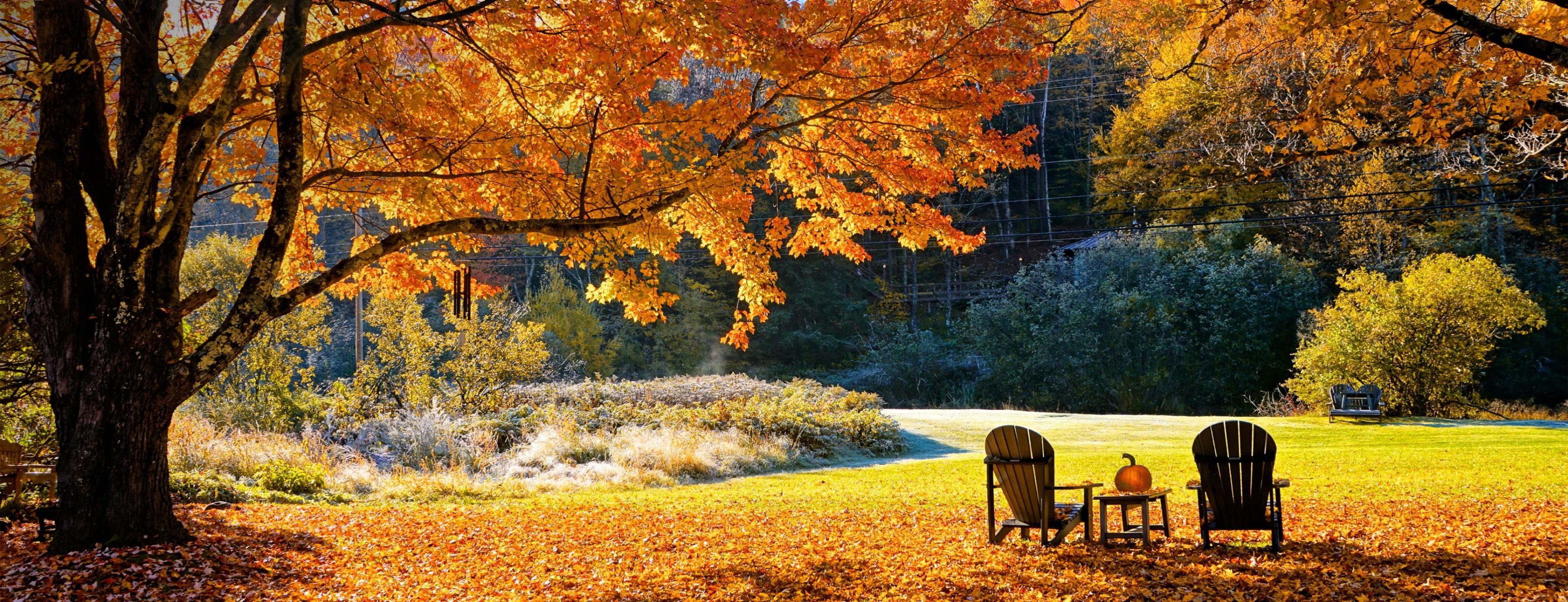 Allianz Versicherung Ingrid Gebert Brühl - Herbst_Ingrid Gebert