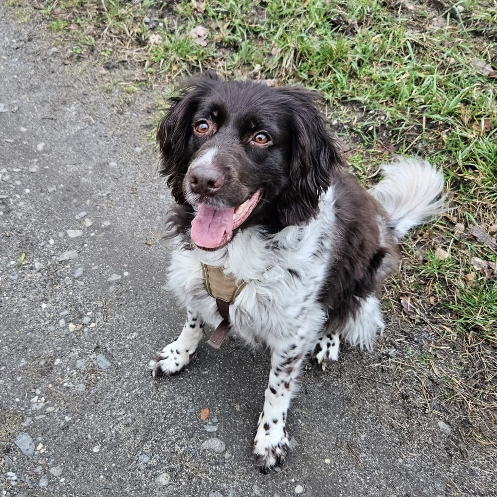 Allianz Versicherung Janine Miertzsch Doberlug-Kirchhain - Feelgood-Managerin Romy