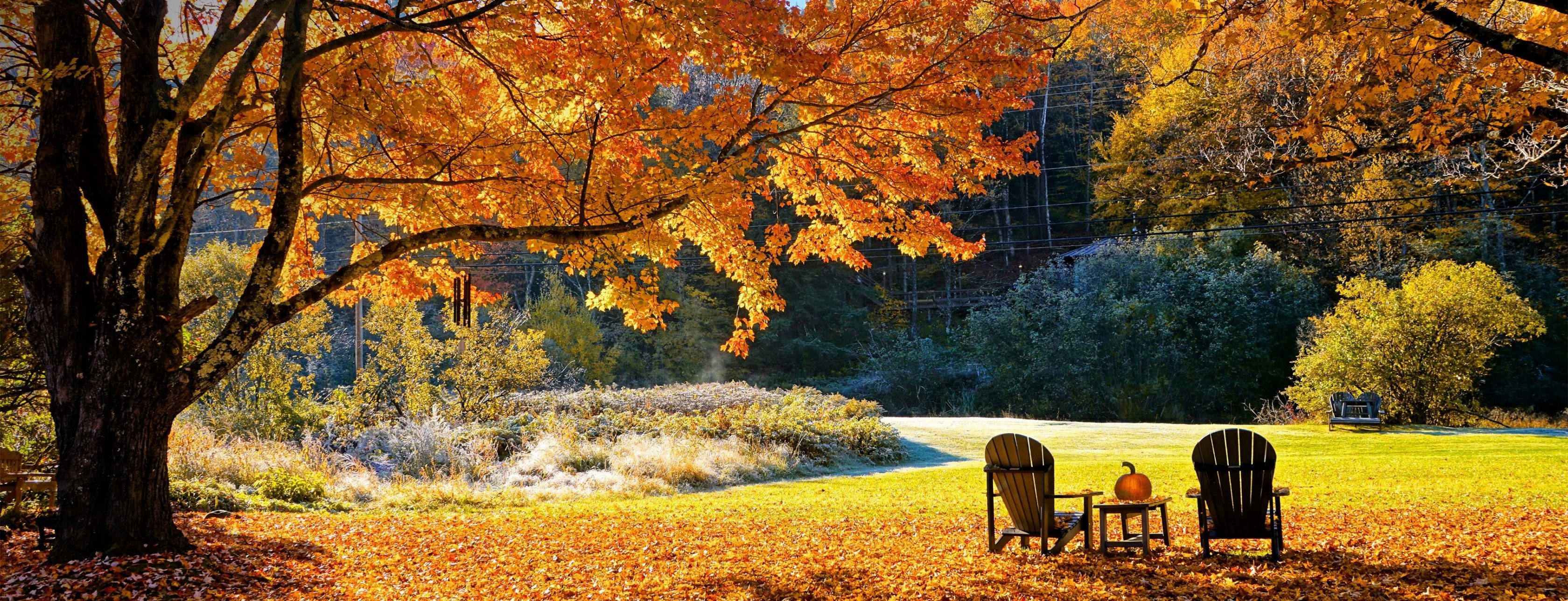 Allianz Versicherung Jens Dreißigacker Meiningen - #Ferien #Sonne #Garten #Herbst #Unwetter #Laub #Frost 