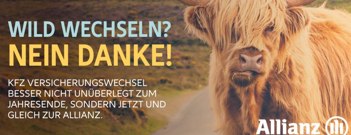 Allianz Versicherung Jessika Hill Radevormwald - Remscheid Wuppertal Haftpflicht Hundehaftpflicht