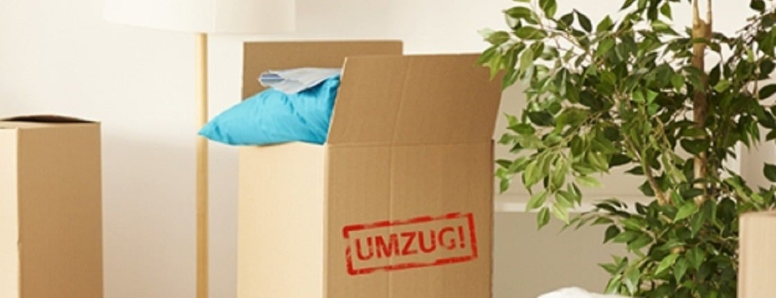 Allianz Versicherung Jörg Andres Flensburg - Allianz Jörg Andres Flensburg Versicherung