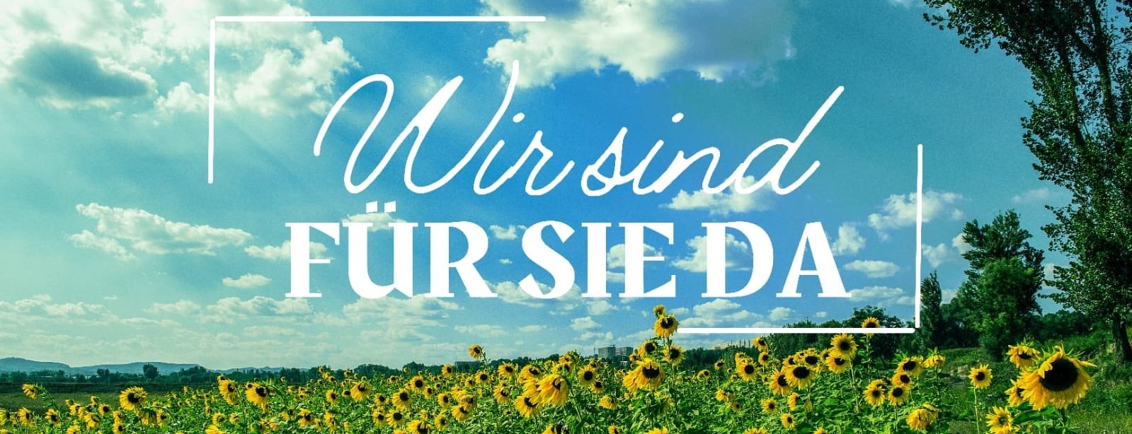 Allianz Versicherung Jörg Gödicke Neustadt - Gödicke Neustadt Versicherung Allianz Baufiagentur