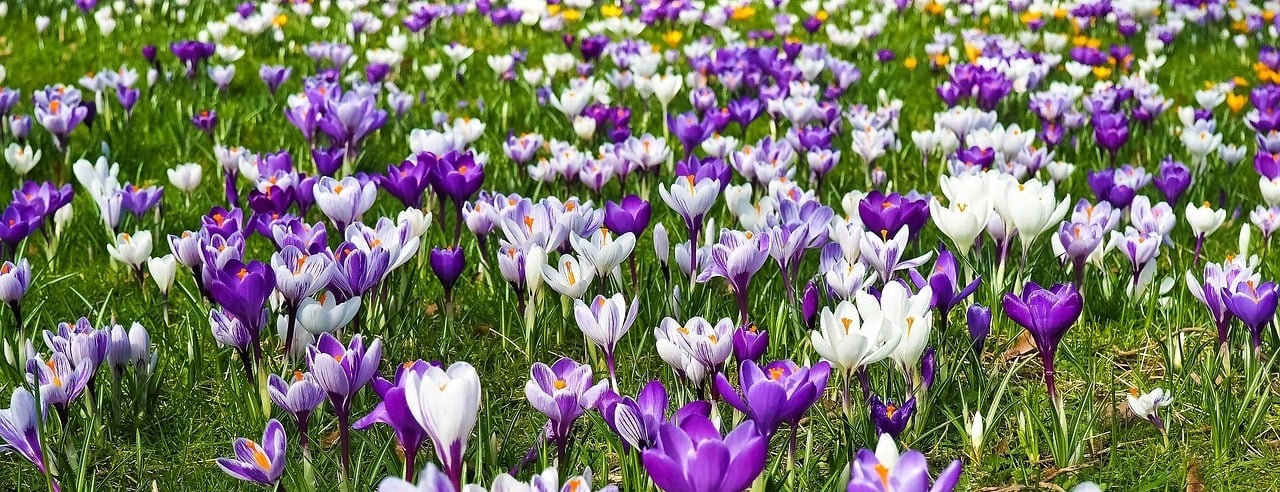 Allianz Versicherung Jürgen Fallack Ingolstadt - BU#Vorsorge#Risiko#Einkommen#Geldanlage#