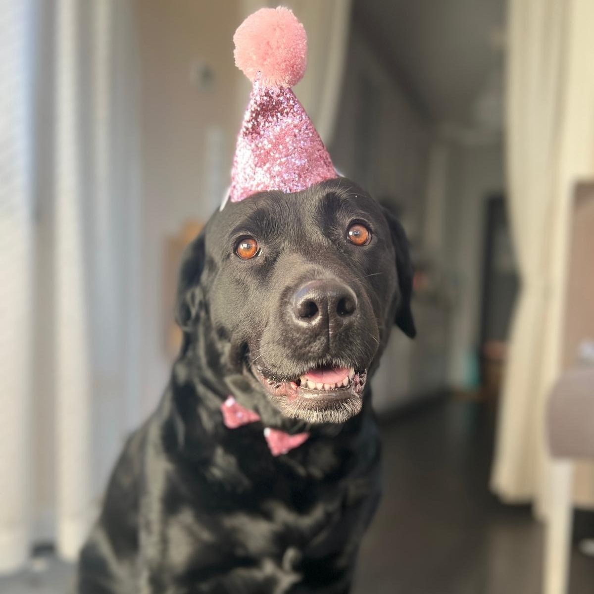 Allianz Versicherung Julia Willenberg-Yazgi Bremen - Lana