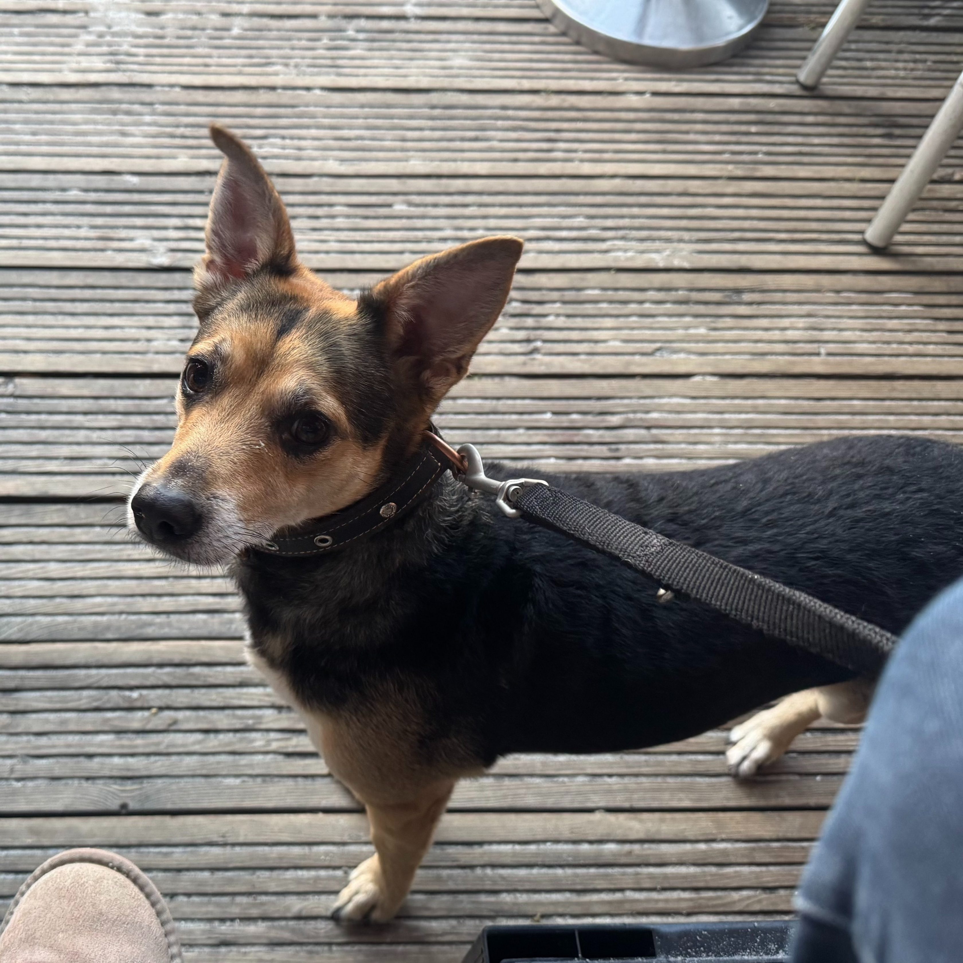 Allianz Versicherung Kai Bokeloh Langwedel - Hilde