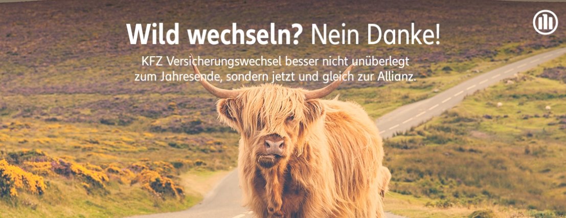 Allianz Versicherung Kai Bull Berlin - Titelbild