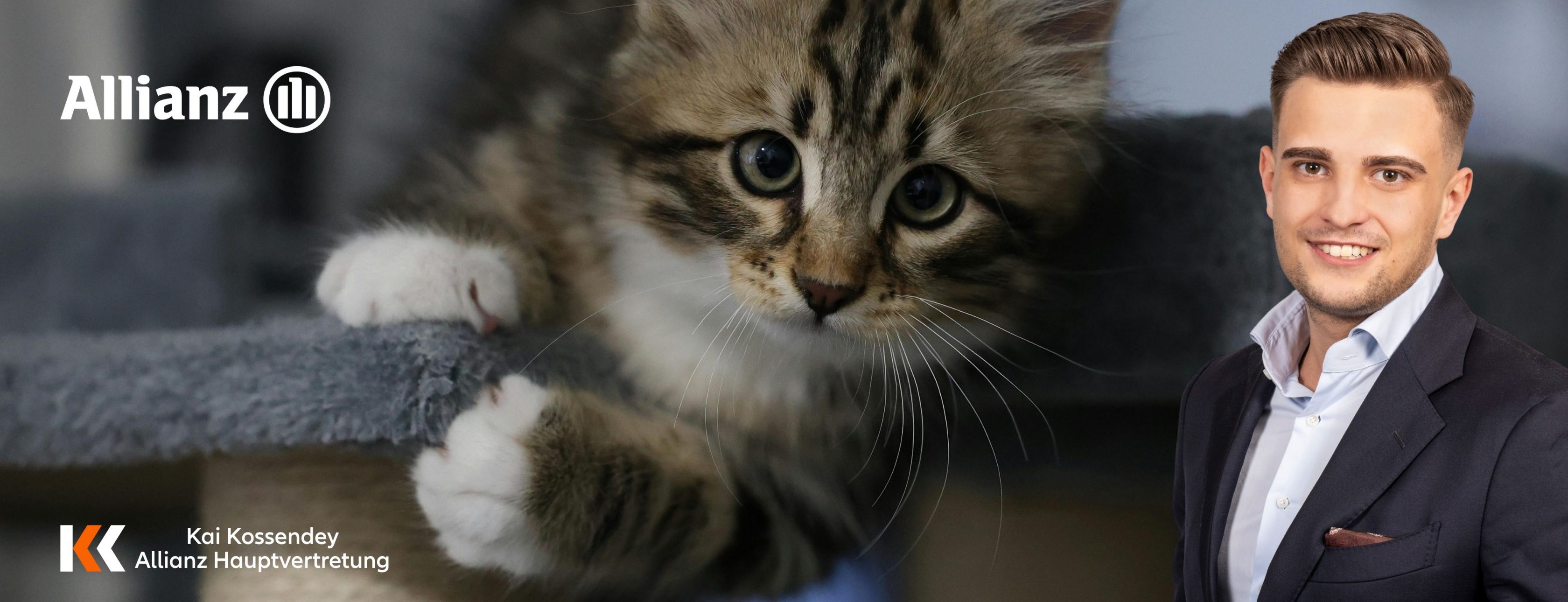 Allianz Versicherung Kai Kossendey Bad Kissingen - Titelbild