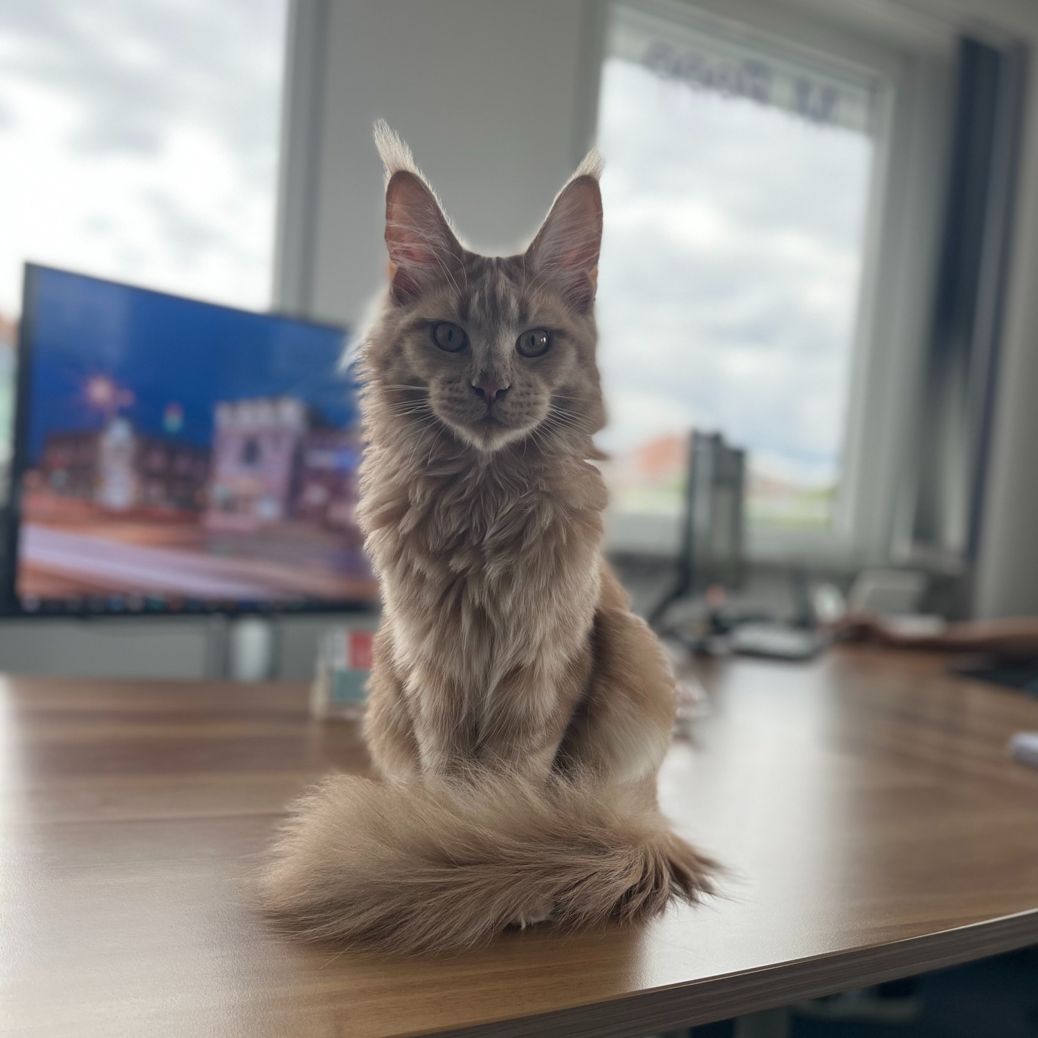 Allianz Versicherung Kai Piochacz Ludwigsfelde - Allianz Versicherung Kai Piochacz in Ludwigsfelde