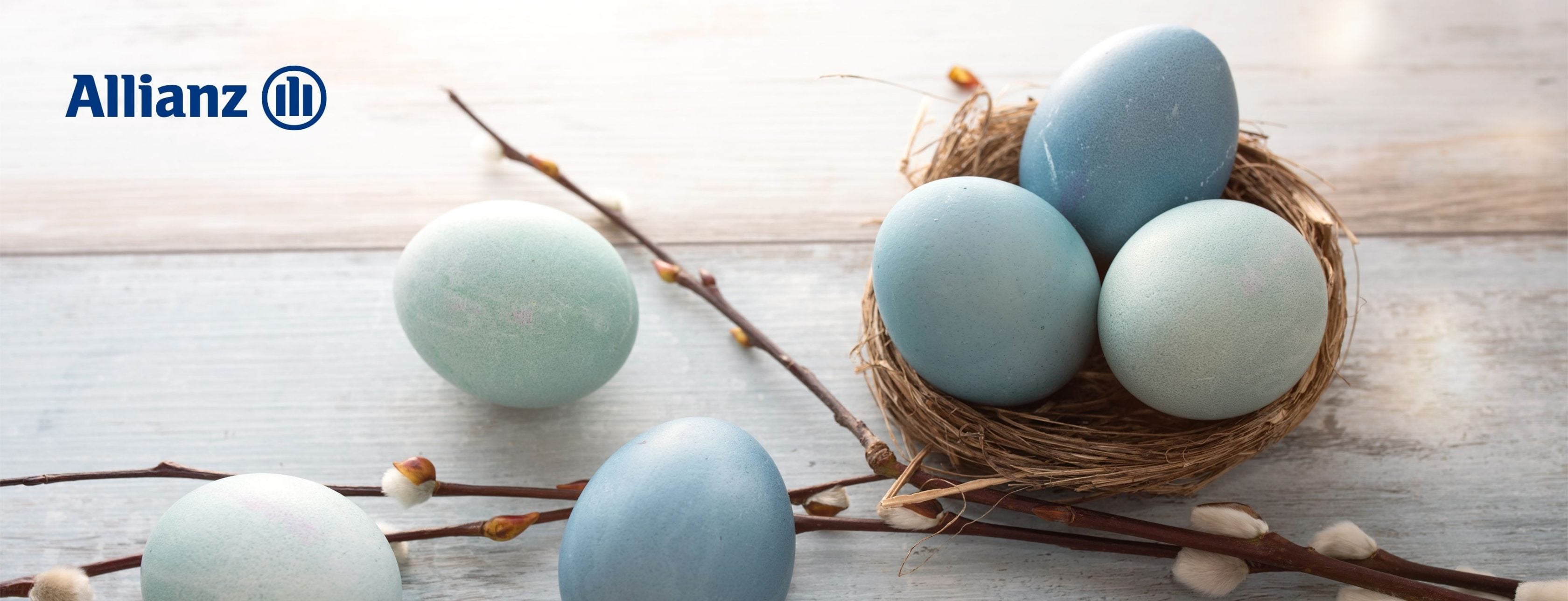 Allianz Versicherung Karen Seifert Coswig - Allianz Coswig Karen Seifert Versicherungen