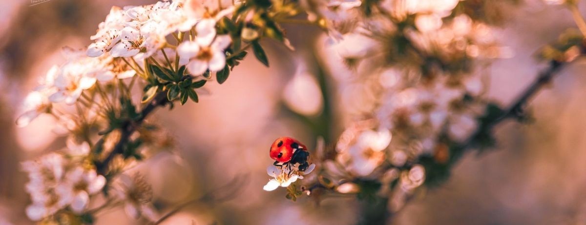 Allianz Versicherung Katrin Busch Bad Salzungen - Winter