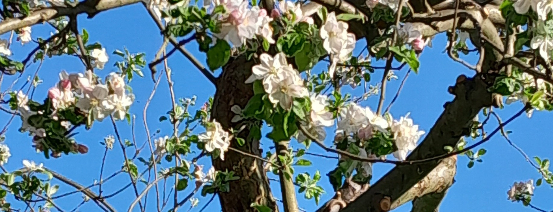 Allianz Versicherung Katrin Thomser Crimmitschau - Pelzmühle Chemnitz Rabenstein Spielplatz